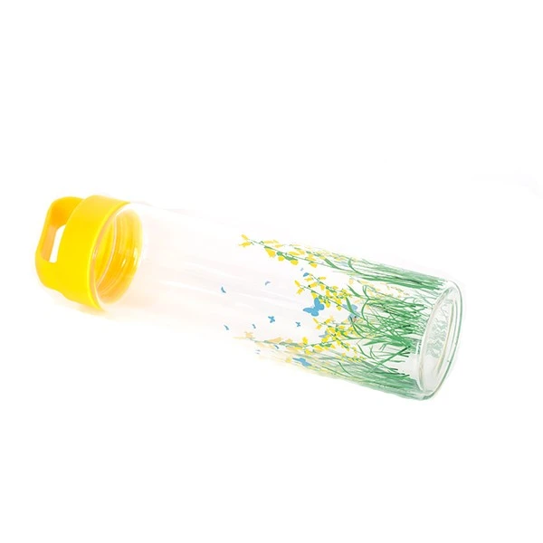 Sport Custom Printing Decals 550ml Borosilicate Glass Water Bottle With Lid